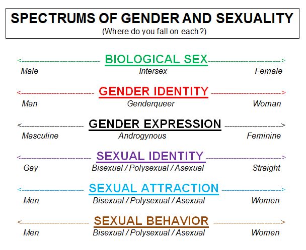 gender spectrum chart